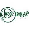 Рогнеда